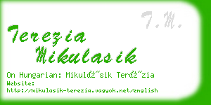 terezia mikulasik business card